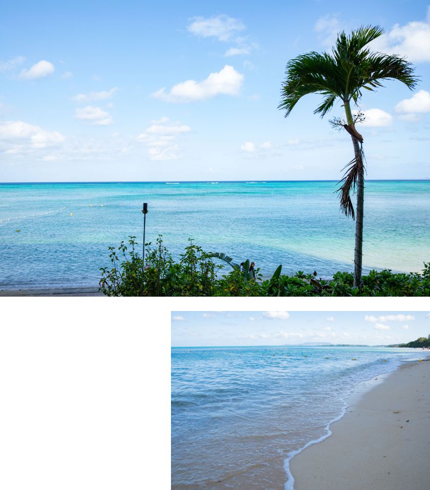 リザンシーパークビーチの写真