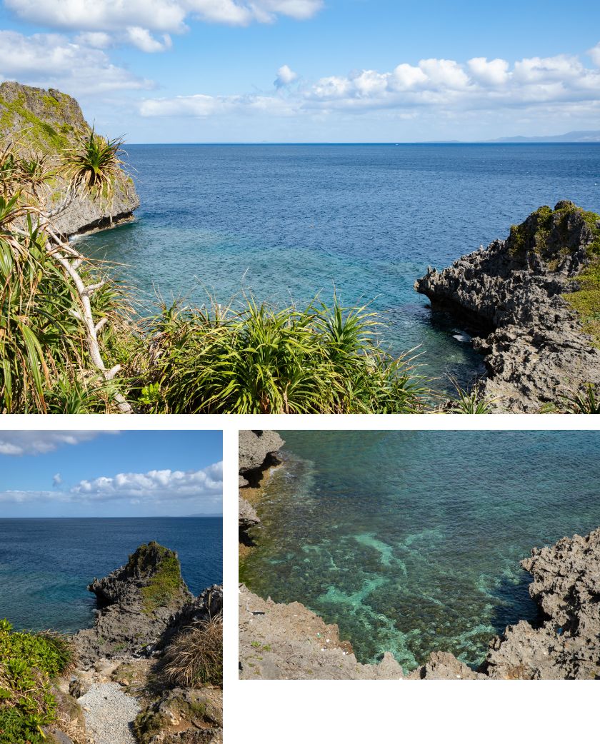 眞栄田岬の写真